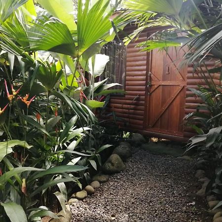 Arenal Rustic Lodge アラフエラ エクステリア 写真