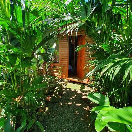 Arenal Rustic Lodge アラフエラ エクステリア 写真