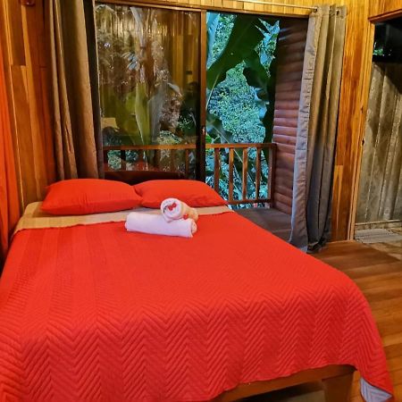 Arenal Rustic Lodge アラフエラ エクステリア 写真
