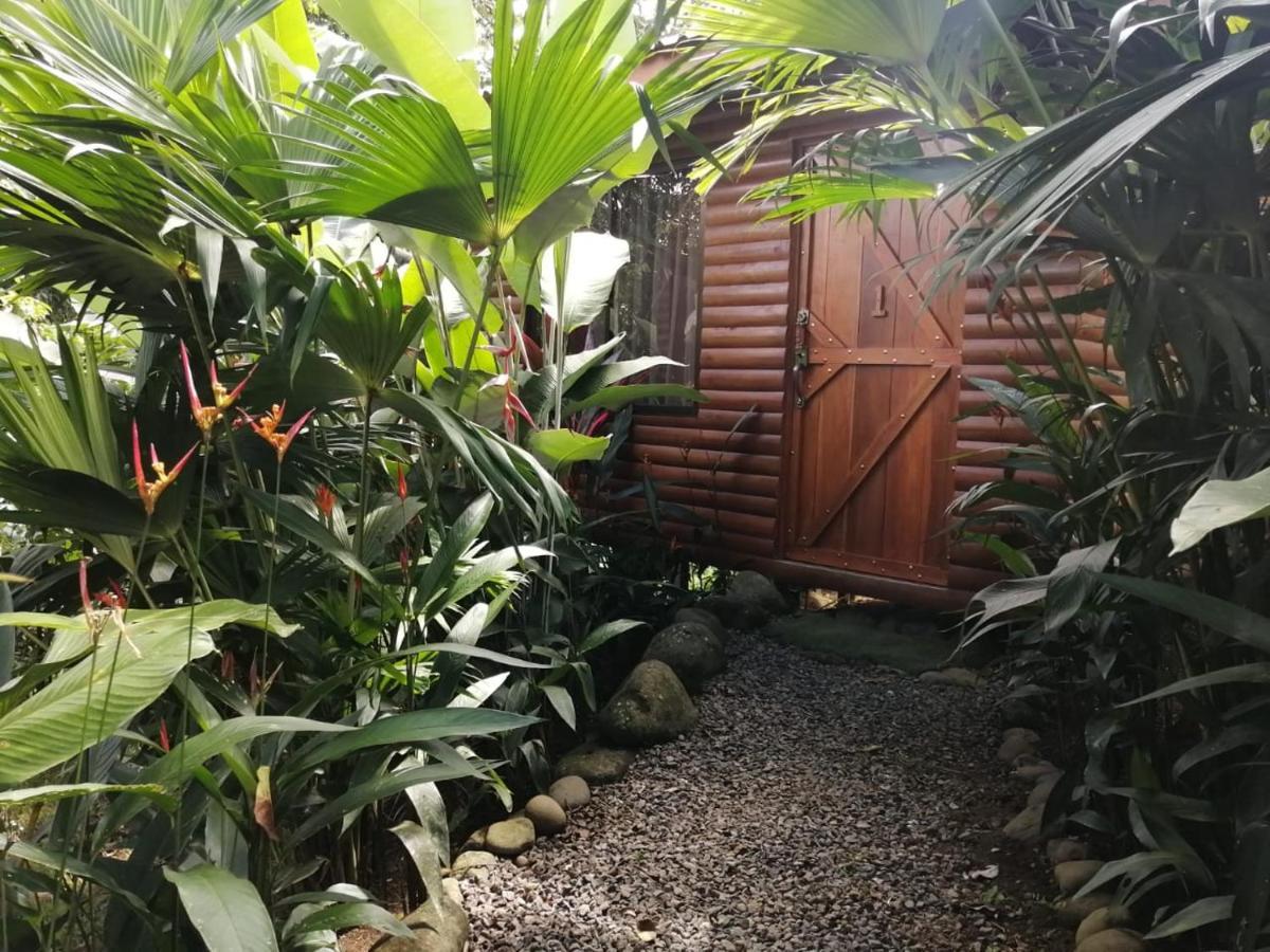 Arenal Rustic Lodge アラフエラ エクステリア 写真