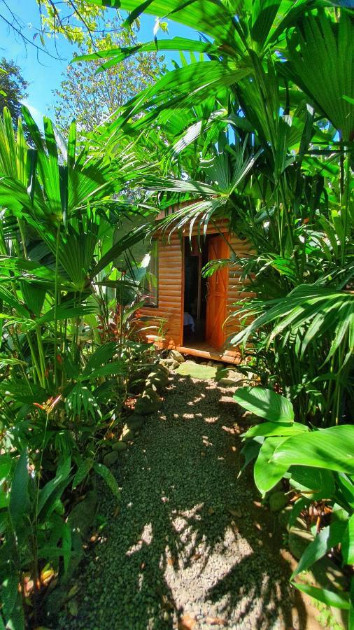 Arenal Rustic Lodge アラフエラ エクステリア 写真