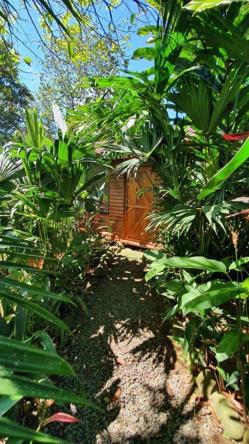 Arenal Rustic Lodge アラフエラ エクステリア 写真