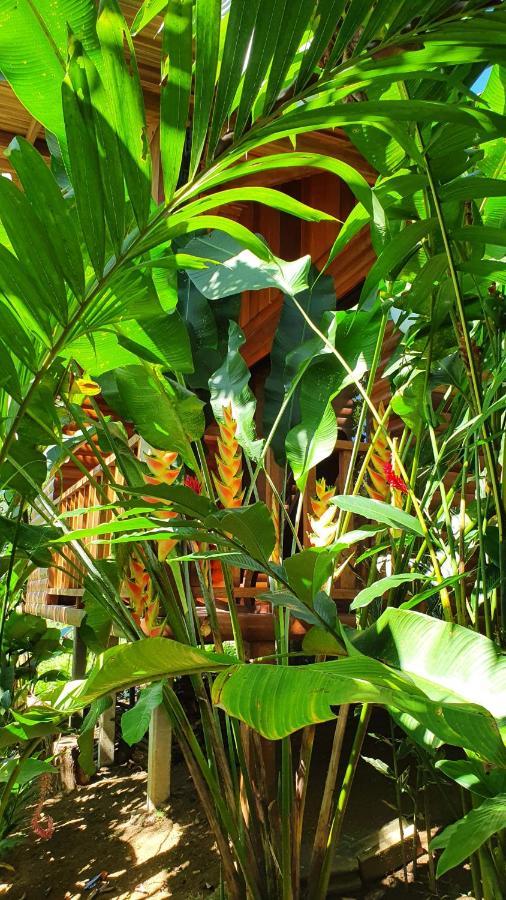 Arenal Rustic Lodge アラフエラ エクステリア 写真