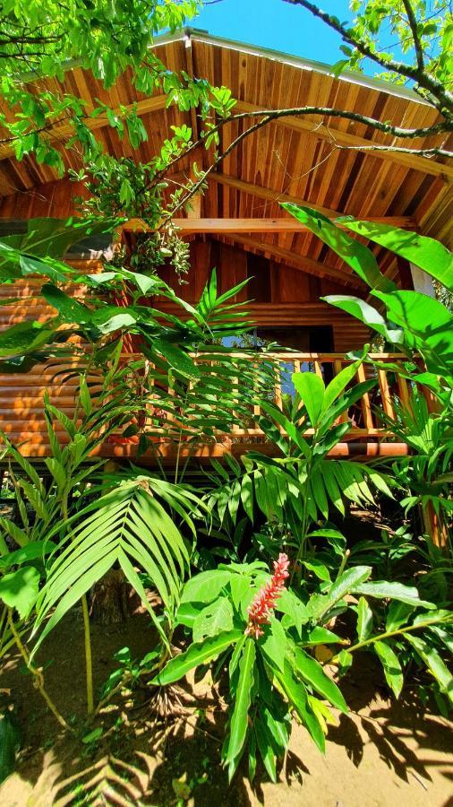 Arenal Rustic Lodge アラフエラ エクステリア 写真