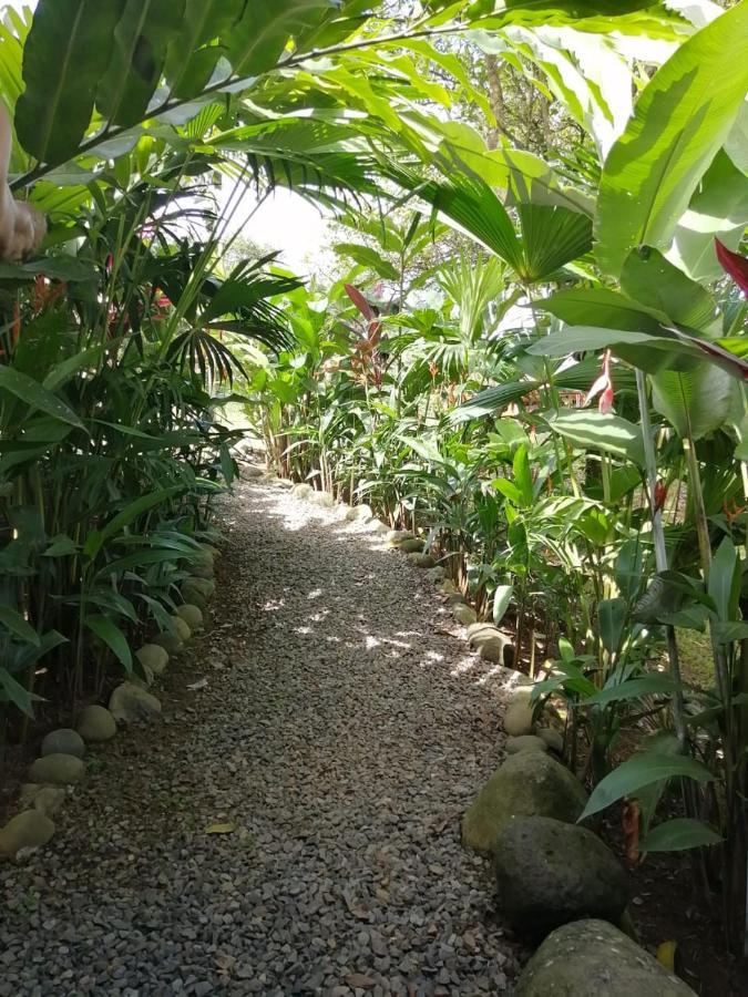 Arenal Rustic Lodge アラフエラ エクステリア 写真