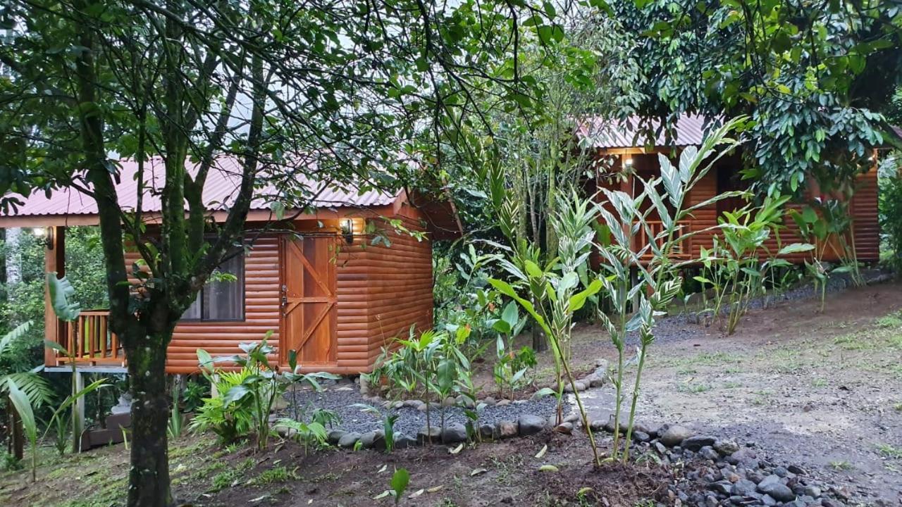 Arenal Rustic Lodge アラフエラ エクステリア 写真