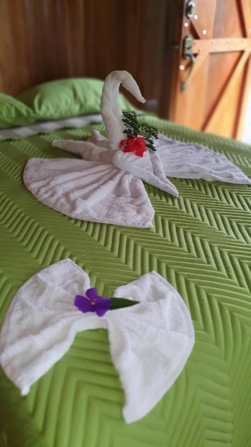 Arenal Rustic Lodge アラフエラ エクステリア 写真